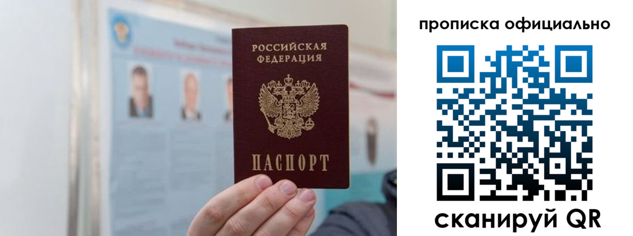 прописка гарантия в Ростове